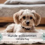 Appartement Bude Im Harz - Perfekt Fuer Zwei Hund, Wanderer, Biker, Ruhesuchende, Sonnige Loggia Goslar