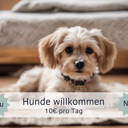 Apartamento Bude Im Harz - Perfekt Fuer Zwei Hund, Wanderer, Biker, Ruhesuchende, Sonnige Loggia Goslar
