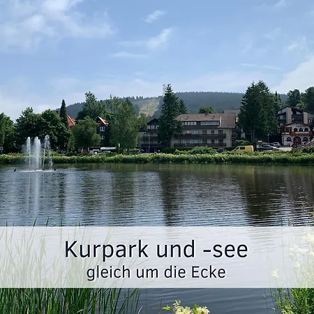 Bude Im Harz - Perfekt Für Zwei Hund, Wandern Ab Der Haustür, Ruhige Lage *