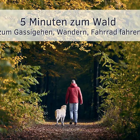 Apartment Bude Im Harz - Perfekt Für Zwei Hund, Wandern Ab Der Haustür, Ruhige Lage Goslar