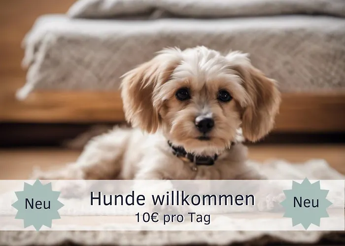 Apartment Bude Im Harz - Perfekt Für Zwei Hund, Wandern Ab Der Haustür, Ruhige Lage Goslar