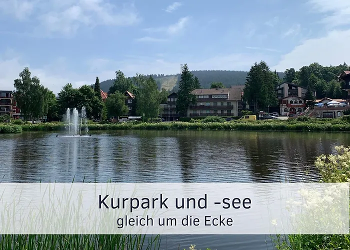 Bude Im Harz - Perfekt Fuer Zwei Hund, Wanderer, Biker, Ruhesuchende, Sonnige Loggia *