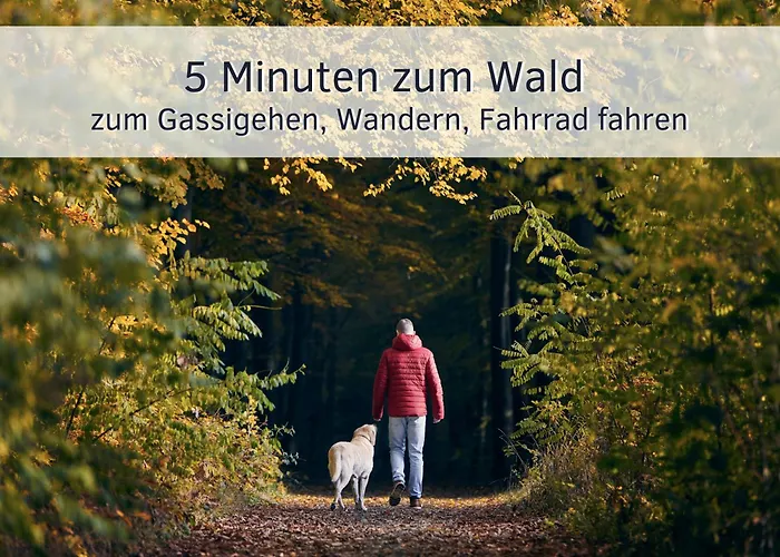Apartment Bude Im Harz - Perfekt Für Zwei Hund, Wandern Ab Der Haustür, Ruhige Lage Goslar